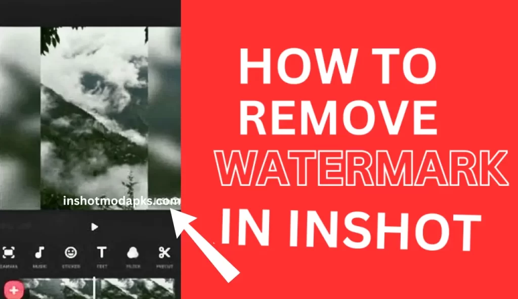 How To Remove Watermark On InShot