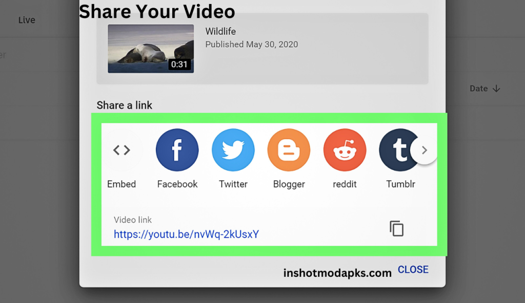 how to edit youtube videos inshot pro apk free download